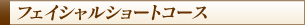 フェイシャルソートコース